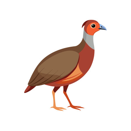 Vivid Chilean Tinamou Bird Designのイラスト素材