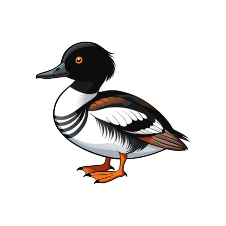 Realistic Common Goldeneye Bird Illustrationのイラスト素材