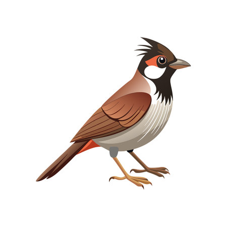 Vivid Common Bulbul Bird Designのイラスト素材