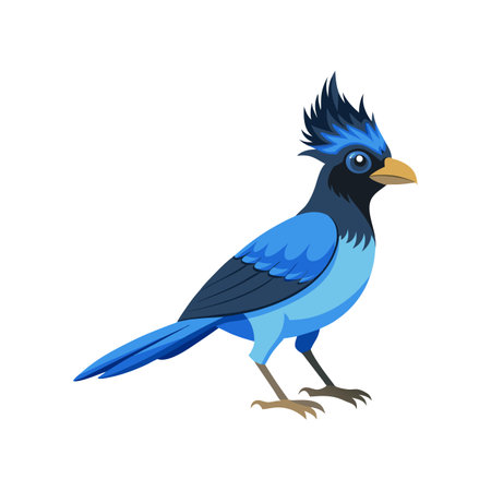 Vibrant Curl-crested Jay Bird Artworkのイラスト素材