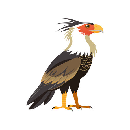 Stunning Crested Caracara Nature Illustrationのイラスト素材