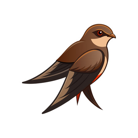 Common Swift Bird Realistic Illustrationのイラスト素材