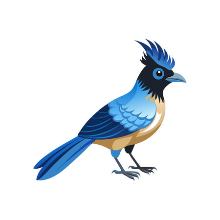 Elegant Curl-crested Jay Bird Vectorのイラスト素材