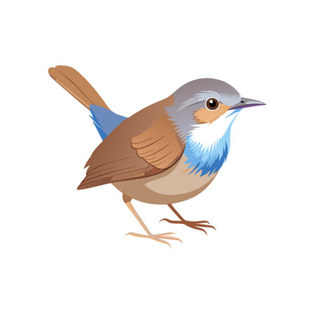 Vivid Dalat Bush Warbler Bird Vectorのイラスト素材