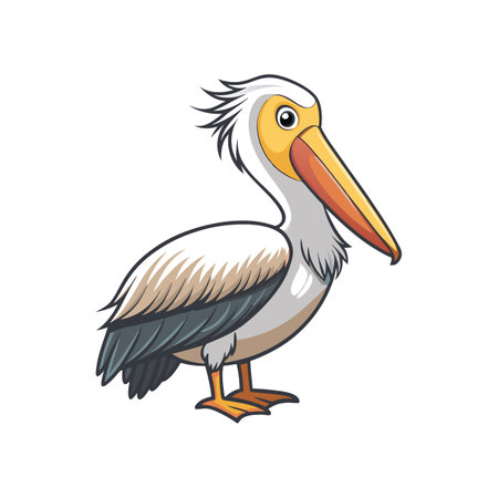 Elegant Dalmatian Pelican Bird Vectorのイラスト素材