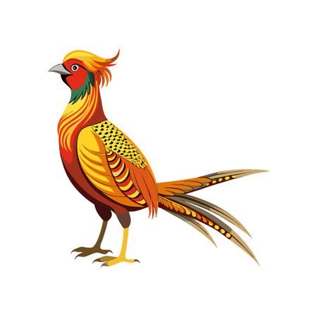 Charming Golden Pheasant Bird Designのイラスト素材