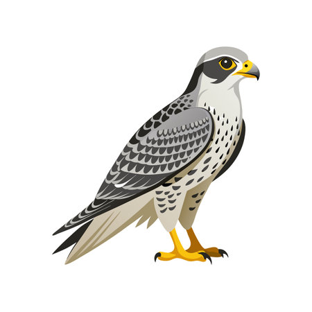 Vivid Gyrfalcon Bird Designのイラスト素材