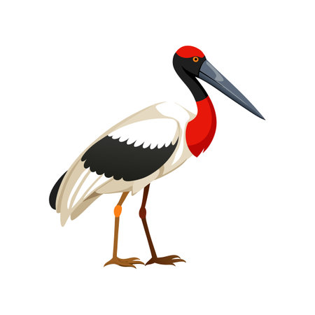 Bright Jabiru Bird Artworkのイラスト素材