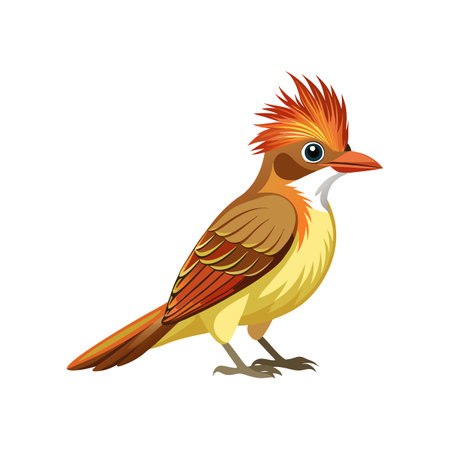Elegant Great Crested Flycatcher Bird Vectorのイラスト素材