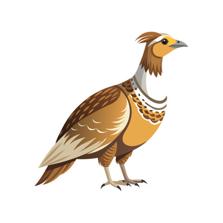 Stunning Greater Sage Grouse Bird Illustrationのイラスト素材