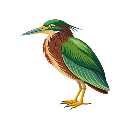 Vivid Green Heron Bird Designのイラスト素材