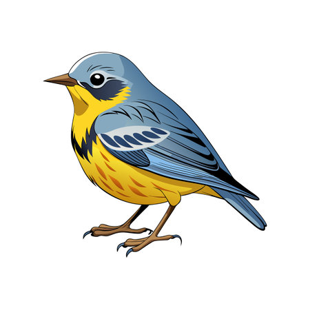 Vivid Kirtland's Warbler Bird Designのイラスト素材
