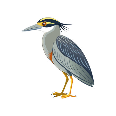 Charming Yellow-crowned Night Heron Bird Designのイラスト素材