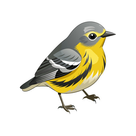 Vivid Yellow-rumped Warbler Bird Designのイラスト素材