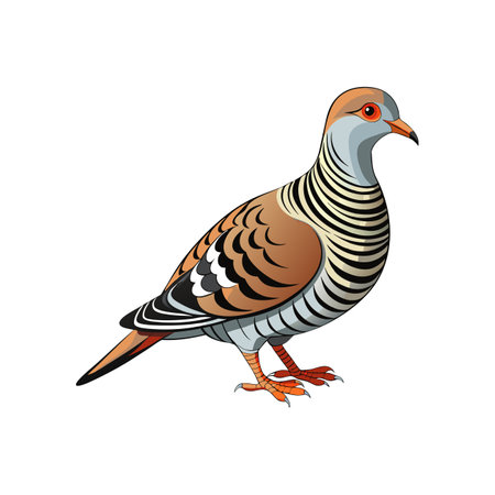 Stunning Zebra Dove Bird Illustrationのイラスト素材