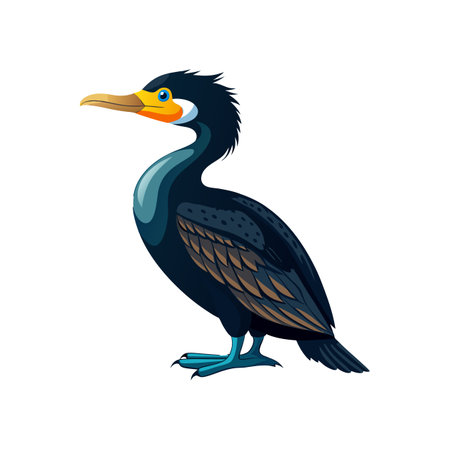 Stunning Brandt's Cormorant Designのイラスト素材