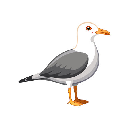 Vibrant Andean Gull Artworkのイラスト素材