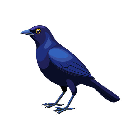 Stunning Brewer's Blackbird Colorful Illustrationのイラスト素材
