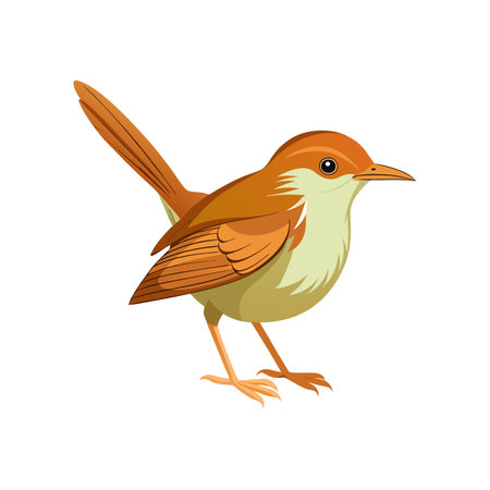 Vivid Common Tailorbird Bird Designのイラスト素材