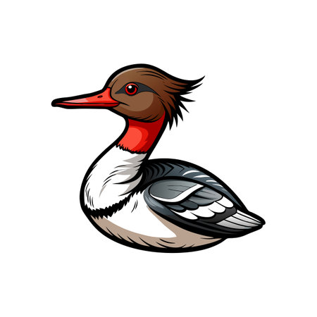 Common Merganser Bird Realistic Artのイラスト素材