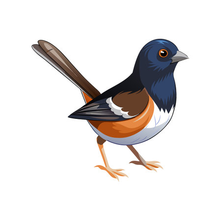 Eastern Towhee Bird Colorful Artworkのイラスト素材