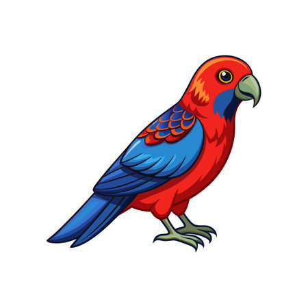 Stunning Crimson Rosella Nature Illustrationのイラスト素材