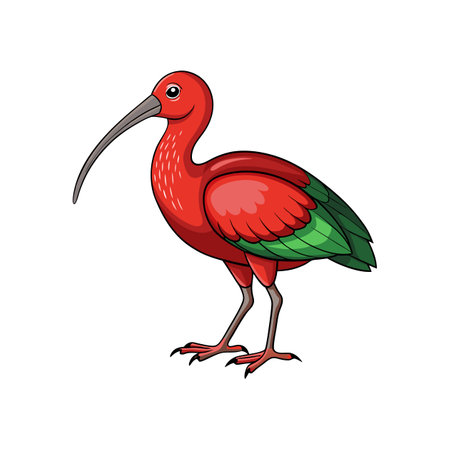 Bright Glossy Ibis Bird Artworkのイラスト素材