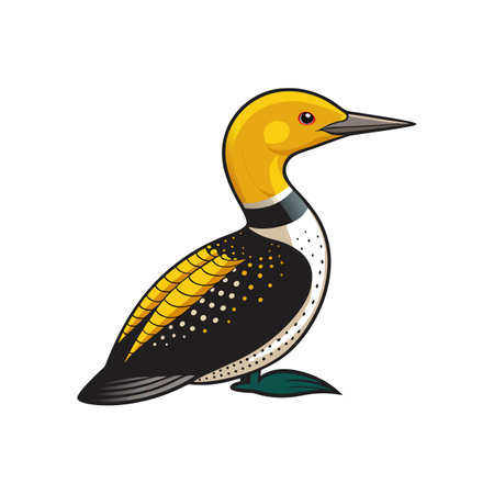 Elegant Yellow-billed Loon Bird Vectorのイラスト素材
