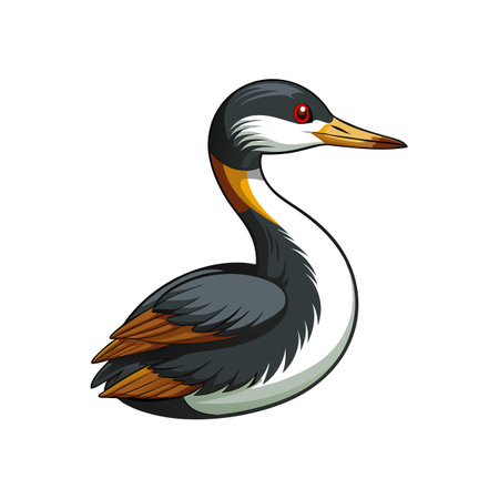 Vivid Least Grebe Bird Designのイラスト素材