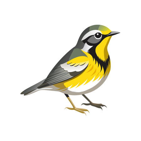 Charming Yellow-throated Warbler Bird Artworkのイラスト素材
