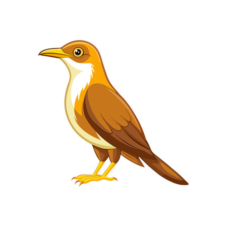 Stunning Yellow-billed Cuckoo Bird Illustrationのイラスト素材