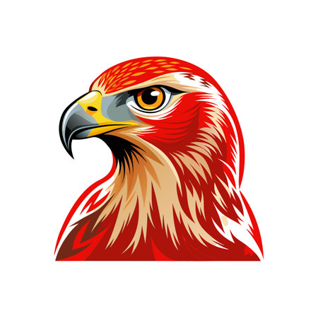 Realistic Red-Shouldered Hawk Bird Illustrationのイラスト素材