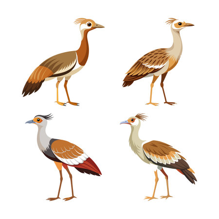 Realistic Arabian Bustard Bird Illustrationのイラスト素材
