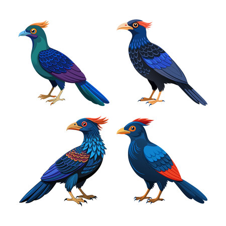 Realistic Asian Koel Bird Illustrationのイラスト素材