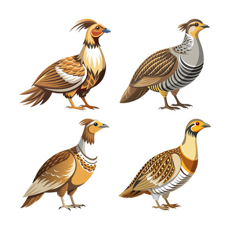 Majestic Greater Sage Grouse Bird Artworkのイラスト素材