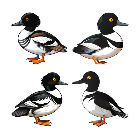 Realistic Common Goldeneye Bird Illustrationのイラスト素材