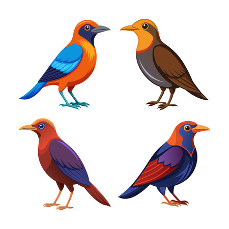 Realistic Bowerbird Illustrationのイラスト素材