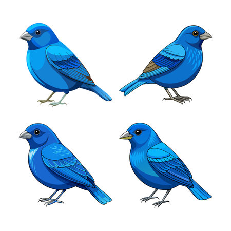 Indigo Bunting Bird Colorful Illustrationのイラスト素材