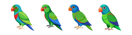 Stunning Blue-Crowned Hanging Parrot Artworkのイラスト素材