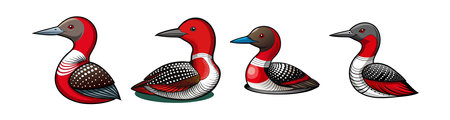Realistic Red-Throated Loon Bird Illustrationのイラスト素材