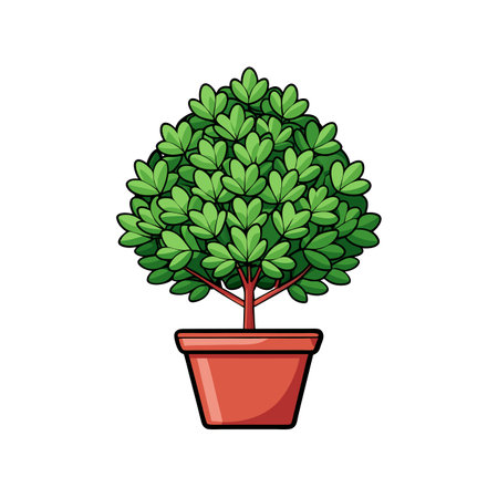 Elegant Boxwood Buxus Plant Artのイラスト素材