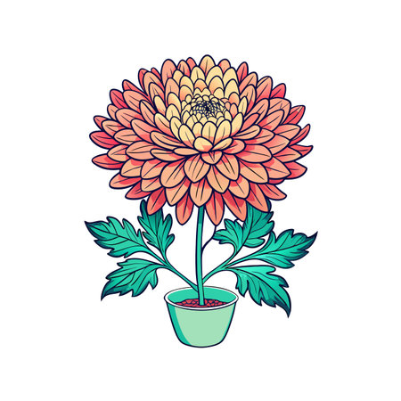 Artistic Chrysanthemum Morifolium Houseplant Illustrationのイラスト素材