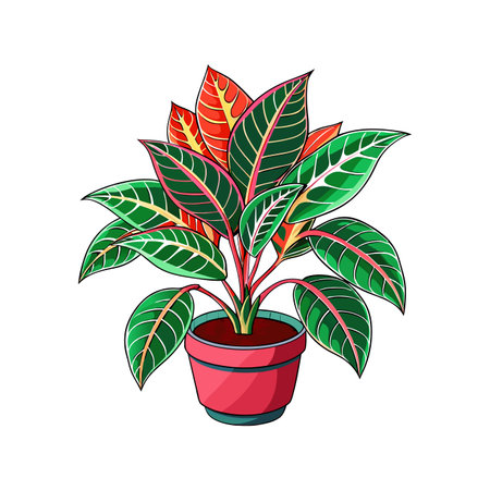 Chic Codiaeum Variegatum Houseplant Artのイラスト素材