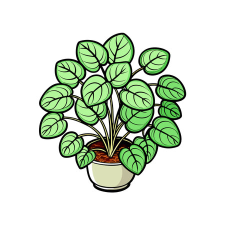 Charming Creeping Charlie Houseplant Designのイラスト素材