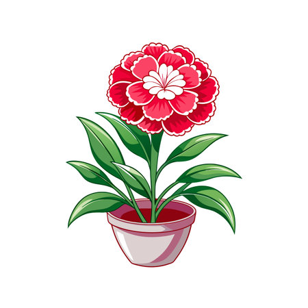 Charming Dianthus Caryophyllus Houseplant Designのイラスト素材