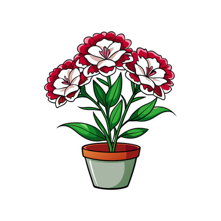 Elegant Dianthus Caryophyllus Bold Outlineのイラスト素材