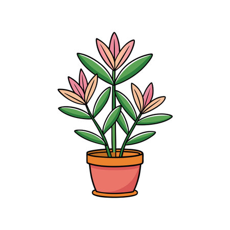 Charming Dimorphotheca Sinuata Houseplant Artのイラスト素材