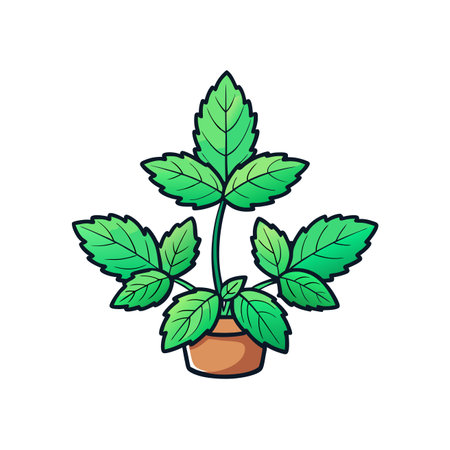 Charming Downy Wood Mint Plant Artのイラスト素材