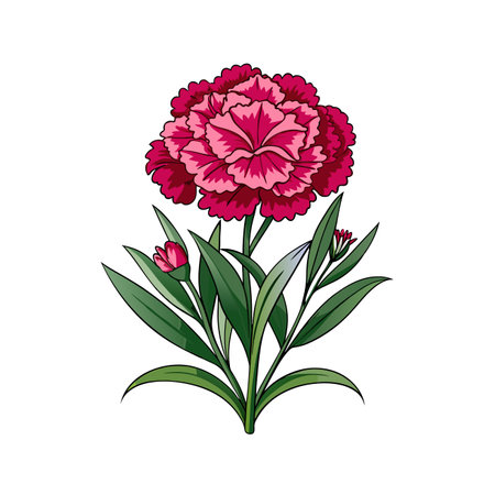 Delightful Dianthus Caryophyllus Houseplant Designのイラスト素材