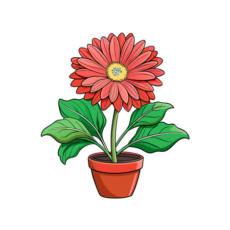 Charming Gerbera Jamesonii Houseplant Artのイラスト素材